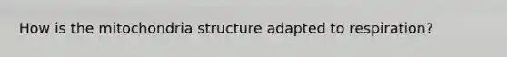 How is the mitochondria structure adapted to respiration?