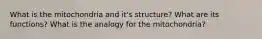 What is the mitochondria and it's structure? What are its functions? What is the analogy for the mitochondria?