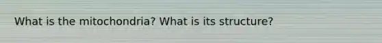 What is the mitochondria? What is its structure?