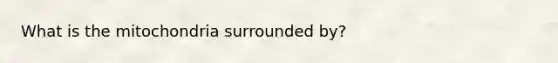 What is the mitochondria surrounded by?