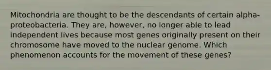 Mitochondria are thought to be the descendants of certain alpha-proteobacteria. They are, however, no longer able to lead independent lives because most genes originally present on their chromosome have moved to the nuclear genome. Which phenomenon accounts for the movement of these genes?