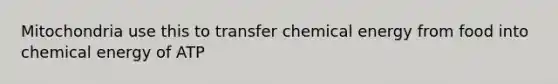 Mitochondria use this to transfer chemical energy from food into chemical energy of ATP