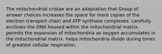 The mitochondrial cristae are an adaptation that Group of answer choices increases the space for more copies of the electron transport chain and ATP synthase complexes. carefully encloses the DNA housed within the mitochondrial matrix. permits the expansion of mitochondria as oxygen accumulates in the mitochondrial matrix. helps mitochondria divide during times of greatest cellular respiration.