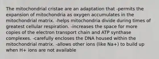 The mitochondrial cristae are an adaptation that -permits the expansion of mitochondria as oxygen accumulates in the mitochondrial matrix. -helps mitochondria divide during times of greatest cellular respiration. -increases the space for more copies of the electron transport chain and ATP synthase complexes. -carefully encloses the DNA housed within the mitochondrial matrix. -allows other ions (like Na+) to build up when H+ ions are not available