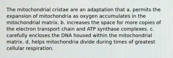 The mitochondrial cristae are an adaptation that a. permits the expansion of mitochondria as oxygen accumulates in the mitochondrial matrix. b. increases the space for more copies of the electron transport chain and ATP synthase complexes. c. carefully encloses the DNA housed within the mitochondrial matrix. d. helps mitochondria divide during times of greatest cellular respiration.