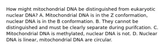 How might mitochondrial DNA be distinguished from eukaryotic nuclear DNA? A. Mitochondrial DNA is in the Z conformation, nuclear DNA is in the B conformation. B. They cannot be distinguished and must be clearly separate during purifcation. C. Mitochondrial DNA is methylated, nuclear DNA is not. D. Nuclear DNA is linear, mitochondrial DNA are circular.