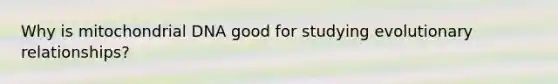 Why is mitochondrial DNA good for studying evolutionary relationships?