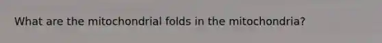 What are the mitochondrial folds in the mitochondria?