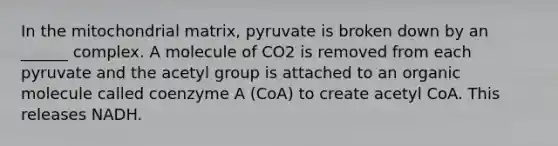 In the mitochondrial matrix, pyruvate is broken down by an ______ complex. A molecule of CO2 is removed from each pyruvate and the acetyl group is attached to an organic molecule called coenzyme A (CoA) to create acetyl CoA. This releases NADH.