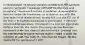 A mitochondrial membrane complex consisting of ATP synthase, adenine nucleotide translocase (ATP-ADP translocase), and phosphate translocase functions in oxidative phosphorylation. Adenine nucleotide translocase, an antiporter located in the inner mitochondrial membrane, moves ADP into and ATP out of the matrix. Phosphate translocase is also located in the inner mitochondrial membrane. It transports H+ ions and phosphate H2PO−4 ions into the matrix. The energy derived from the movement of H+ ions down an electrochemical gradient from the intermembrane space into the matrix is used to drive the synthesis of ATP. How many H+ ions must be moved into the matrix for the synthesis of 1 ATP?