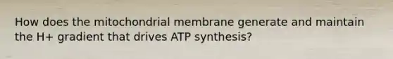 How does the mitochondrial membrane generate and maintain the H+ gradient that drives ATP synthesis?