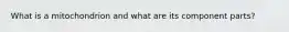 What is a mitochondrion and what are its component parts?