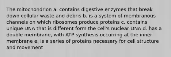 The mitochondrion a. contains <a href='https://www.questionai.com/knowledge/kK14poSlmL-digestive-enzymes' class='anchor-knowledge'>digestive enzymes</a> that break down cellular waste and debris b. is a system of membranous channels on which ribosomes produce proteins c. contains unique DNA that is different form the cell's nuclear DNA d. has a double membrane, with <a href='https://www.questionai.com/knowledge/kx3XpCJrFz-atp-synthesis' class='anchor-knowledge'>atp synthesis</a> occurring at the inner membrane e. is a series of proteins necessary for cell structure and movement