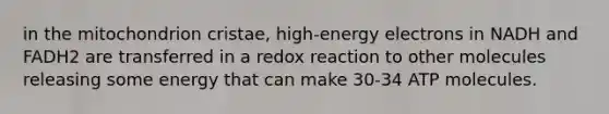 in the mitochondrion cristae, high-energy electrons in NADH and FADH2 are transferred in a redox reaction to other molecules releasing some energy that can make 30-34 ATP molecules.