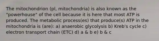 The mitochondrion (pl, mitochondria) is also known as the "powerhouse" of the cell because it is here that most ATP is produced. The metabolic process(es) that produce(s) ATP in the mitochondria is (are): a) anaerobic glycolysis b) Kreb's cycle c) electron transport chain (ETC) d) a & b e) b & c