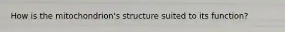 How is the mitochondrion's structure suited to its function?