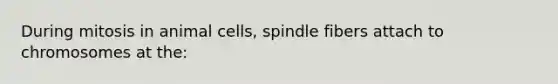 During mitosis in animal cells, spindle fibers attach to chromosomes at the: