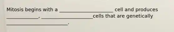 Mitosis begins with a ______________________ cell and produces _____________, _____________________cells that are genetically _________________________.