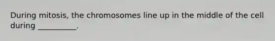 During mitosis, the chromosomes line up in the middle of the cell during __________.