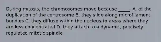 During mitosis, the chromosomes move because _____. A. of the duplication of the centrosome B. they slide along microfilament bundles C. they diffuse within the nucleus to areas where they are less concentrated D. they attach to a dynamic, precisely regulated mitotic spindle