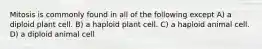 Mitosis is commonly found in all of the following except A) a diploid plant cell. B) a haploid plant cell. C) a haploid animal cell. D) a diploid animal cell