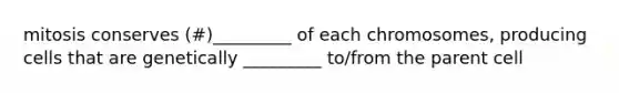 mitosis conserves (#)_________ of each chromosomes, producing cells that are genetically _________ to/from the parent cell