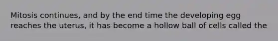 Mitosis continues, and by the end time the developing egg reaches the uterus, it has become a hollow ball of cells called the