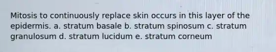 Mitosis to continuously replace skin occurs in this layer of <a href='https://www.questionai.com/knowledge/kBFgQMpq6s-the-epidermis' class='anchor-knowledge'>the epidermis</a>. a. stratum basale b. stratum spinosum c. stratum granulosum d. stratum lucidum e. stratum corneum