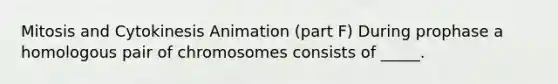 Mitosis and Cytokinesis Animation (part F) During prophase a homologous pair of chromosomes consists of _____.