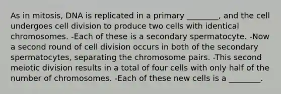 As in mitosis, DNA is replicated in a primary ________, and the cell undergoes cell division to produce two cells with identical chromosomes. -Each of these is a secondary spermatocyte. -Now a second round of cell division occurs in both of the secondary spermatocytes, separating the chromosome pairs. -This second meiotic division results in a total of four cells with only half of the number of chromosomes. -Each of these new cells is a ________.