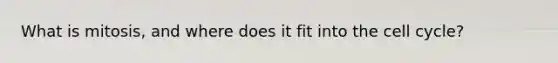 What is mitosis, and where does it fit into the cell cycle?