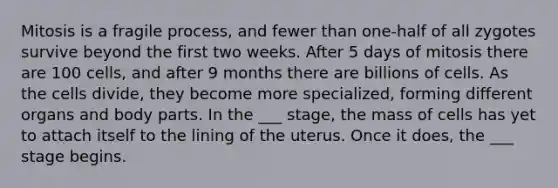 Mitosis is a fragile process, and fewer than one-half of all zygotes survive beyond the first two weeks. After 5 days of mitosis there are 100 cells, and after 9 months there are billions of cells. As the cells divide, they become more specialized, forming different organs and body parts. In the ___ stage, the mass of cells has yet to attach itself to the lining of the uterus. Once it does, the ___ stage begins.
