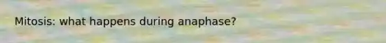 Mitosis: what happens during anaphase?