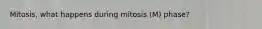 Mitosis, what happens during mitosis (M) phase?