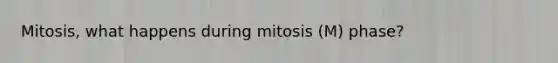 Mitosis, what happens during mitosis (M) phase?