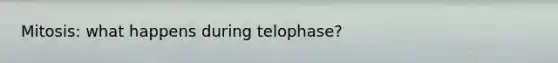 Mitosis: what happens during telophase?