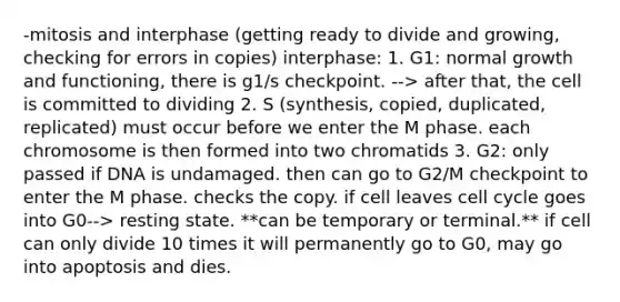 -mitosis and interphase (getting ready to divide and growing, checking for errors in copies) interphase: 1. G1: normal growth and functioning, there is g1/s checkpoint. --> after that, the cell is committed to dividing 2. S (synthesis, copied, duplicated, replicated) must occur before we enter the M phase. each chromosome is then formed into two chromatids 3. G2: only passed if DNA is undamaged. then can go to G2/M checkpoint to enter the M phase. checks the copy. if cell leaves cell cycle goes into G0--> resting state. **can be temporary or terminal.** if cell can only divide 10 times it will permanently go to G0, may go into apoptosis and dies.