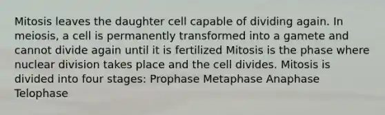 Mitosis leaves the daughter cell capable of dividing again. In meiosis, a cell is permanently transformed into a gamete and cannot divide again until it is fertilized Mitosis is the phase where nuclear division takes place and the cell divides. Mitosis is divided into four stages: Prophase Metaphase Anaphase Telophase