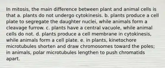 In mitosis, the main difference between plant and animal cells is that a. plants do not undergo cytokinesis. b. plants produce a cell plate to segregate the daughter nuclei, while animals form a cleavage furrow. c. plants have a central vacuole, while animal cells do not. d. plants produce a cell membrane in cytokinesis, while animals form a cell plate. e. in plants, kinetochore microtubules shorten and draw chromosomes toward the poles; in animals, polar microtubules lengthen to push chromatids apart.