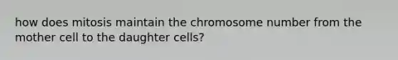 how does mitosis maintain the chromosome number from the mother cell to the daughter cells?