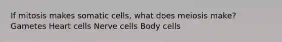 If mitosis makes somatic cells, what does meiosis make? Gametes Heart cells Nerve cells Body cells