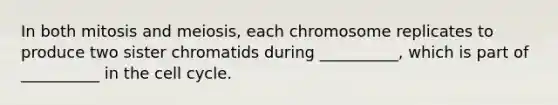 In both mitosis and meiosis, each chromosome replicates to produce two sister chromatids during __________, which is part of __________ in the cell cycle.