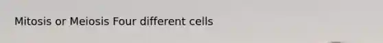 Mitosis or Meiosis Four different cells