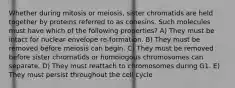 Whether during mitosis or meiosis, sister chromatids are held together by proteins referred to as cohesins. Such molecules must have which of the following properties? A) They must be intact for nuclear envelope re-formation. B) They must be removed before meiosis can begin. C) They must be removed before sister chromatids or homologous chromosomes can separate. D) They must reattach to chromosomes during G1. E) They must persist throughout the cell cycle