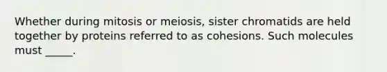 Whether during mitosis or meiosis, sister chromatids are held together by proteins referred to as cohesions. Such molecules must _____.