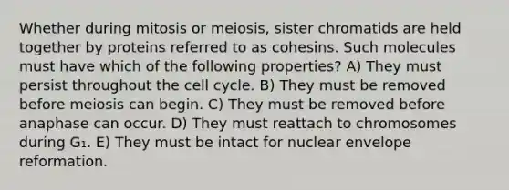 Whether during mitosis or meiosis, sister chromatids are held together by proteins referred to as cohesins. Such molecules must have which of the following properties? A) They must persist throughout the cell cycle. B) They must be removed before meiosis can begin. C) They must be removed before anaphase can occur. D) They must reattach to chromosomes during G₁. E) They must be intact for nuclear envelope reformation.