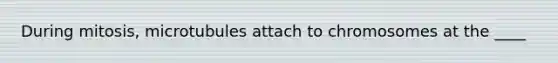 During mitosis, microtubules attach to chromosomes at the ____