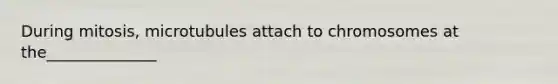 During mitosis, microtubules attach to chromosomes at the______________