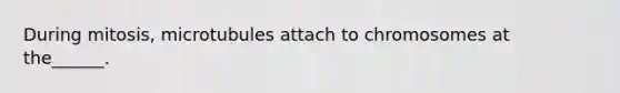 During mitosis, microtubules attach to chromosomes at the______.