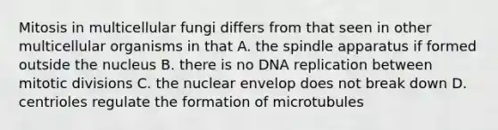 Mitosis in multicellular fungi differs from that seen in other multicellular organisms in that A. the spindle apparatus if formed outside the nucleus B. there is no <a href='https://www.questionai.com/knowledge/kofV2VQU2J-dna-replication' class='anchor-knowledge'>dna replication</a> between mitotic divisions C. the nuclear envelop does not break down D. centrioles regulate the formation of microtubules